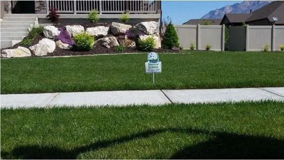 Professional yard cleanup service experts serving North Salt Lake, UT - Moore Green