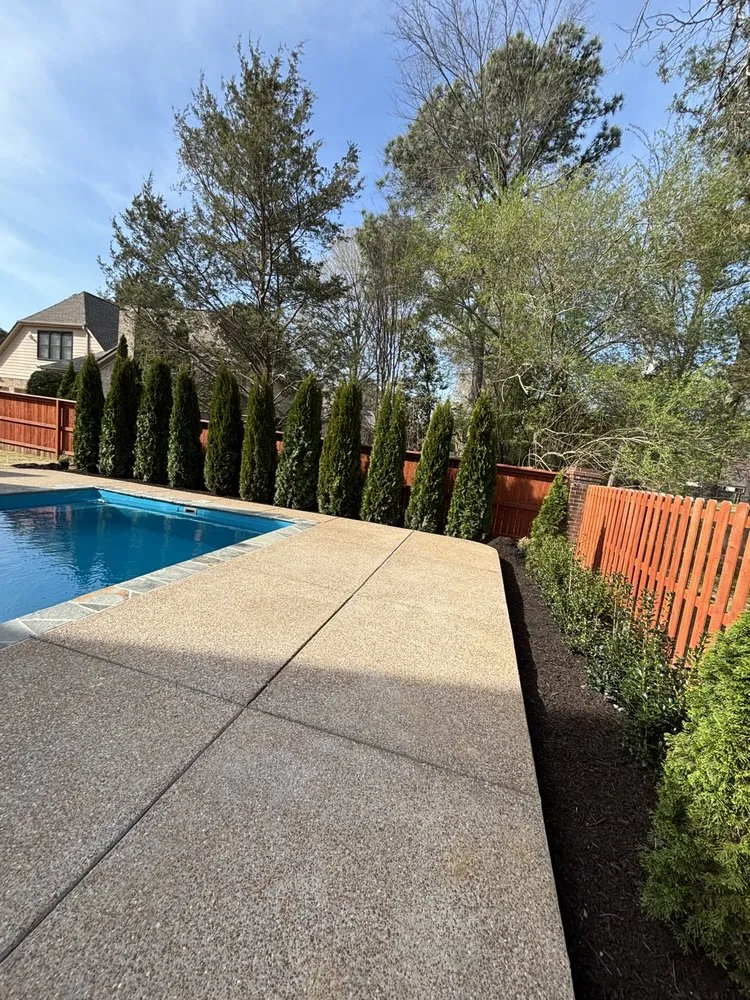 Expert yard maintenance in Collierville, TN by Moore Landscaping & Irrigation