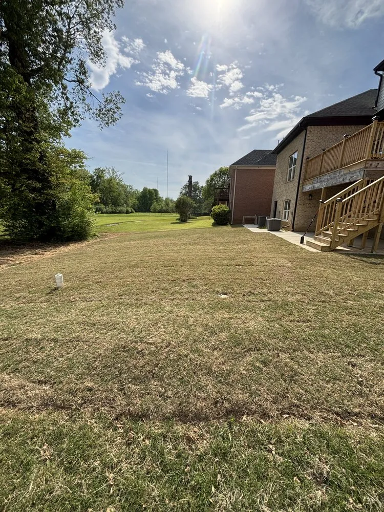 Professional residential landscaping in Collierville, TN by Moore Landscaping & Irrigation