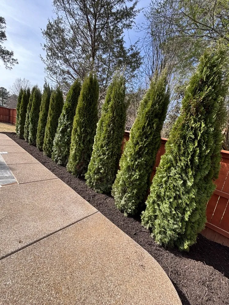 Affordable landscape installation in Collierville, TN - Moore Landscaping & Irrigation