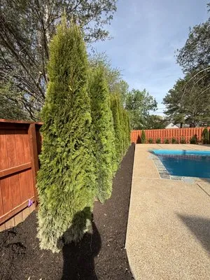 Moore Landscaping & Irrigation