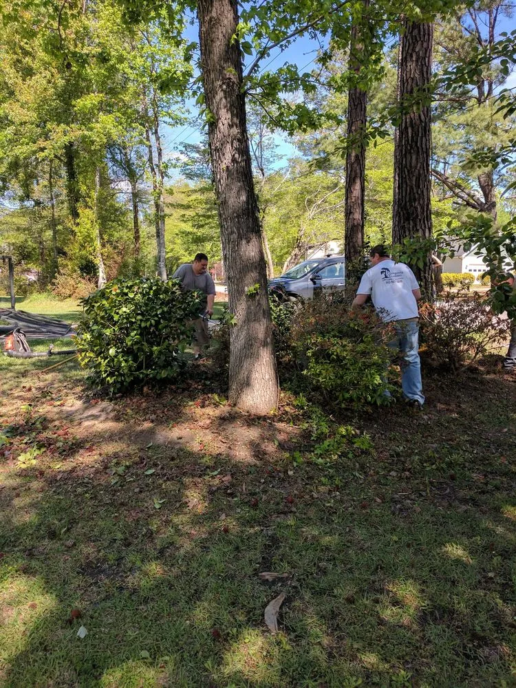 Expert garden landscaping for beautiful yards in Myrtle Beach, SC by Moore Landscaping & Tree Service