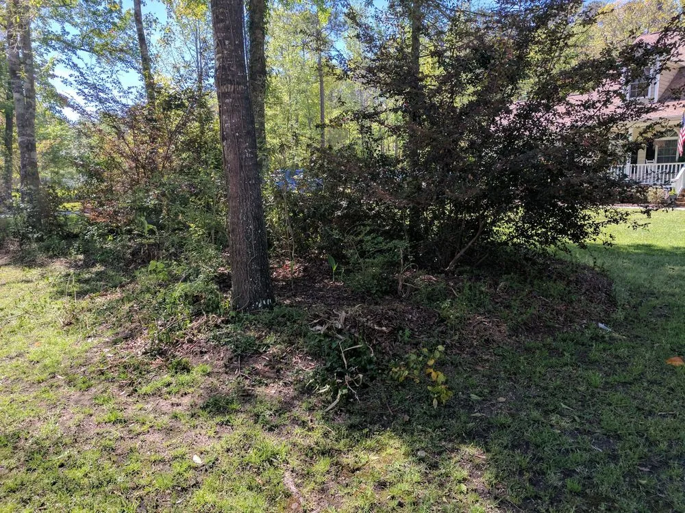 Local yard maintenance experts serving Myrtle Beach, SC - Moore Landscaping & Tree Service