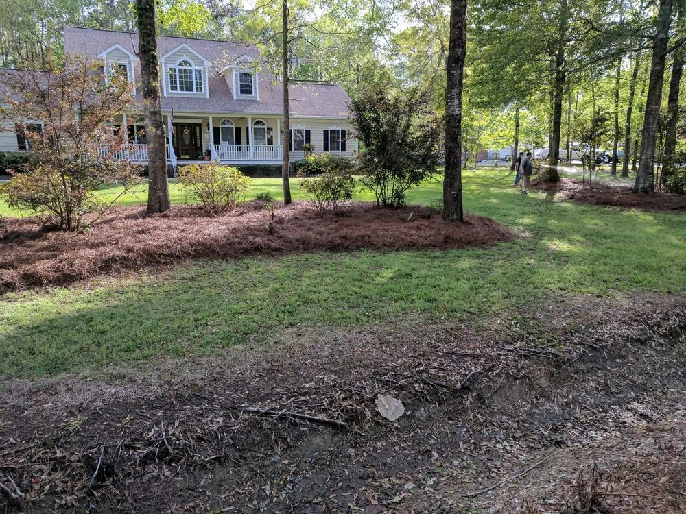 Trusted lawn care service in Myrtle Beach, SC - Moore Landscaping & Tree Service