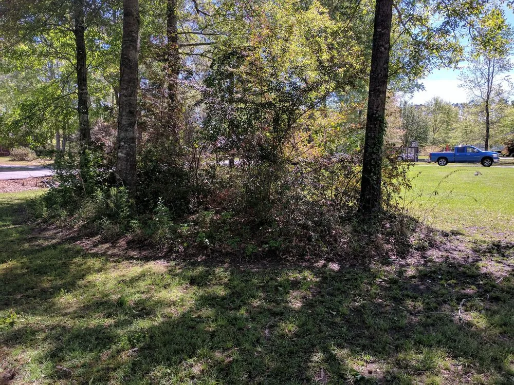 Expert garden landscaping in Myrtle Beach, SC by Moore Landscaping & Tree Service