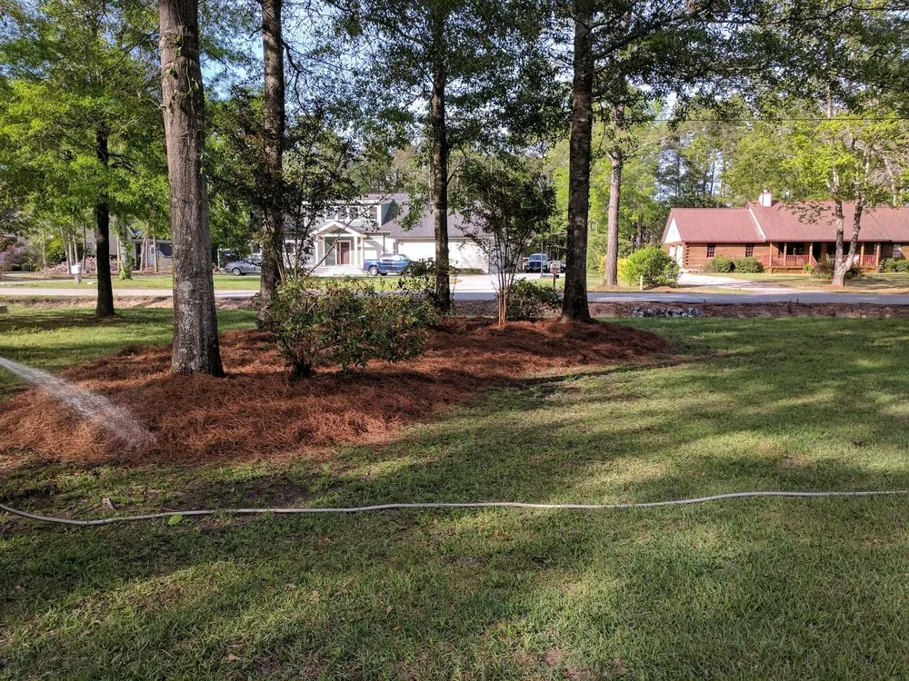 Affordable yard cleanup service experts serving Myrtle Beach, SC - Moore Landscaping & Tree Service