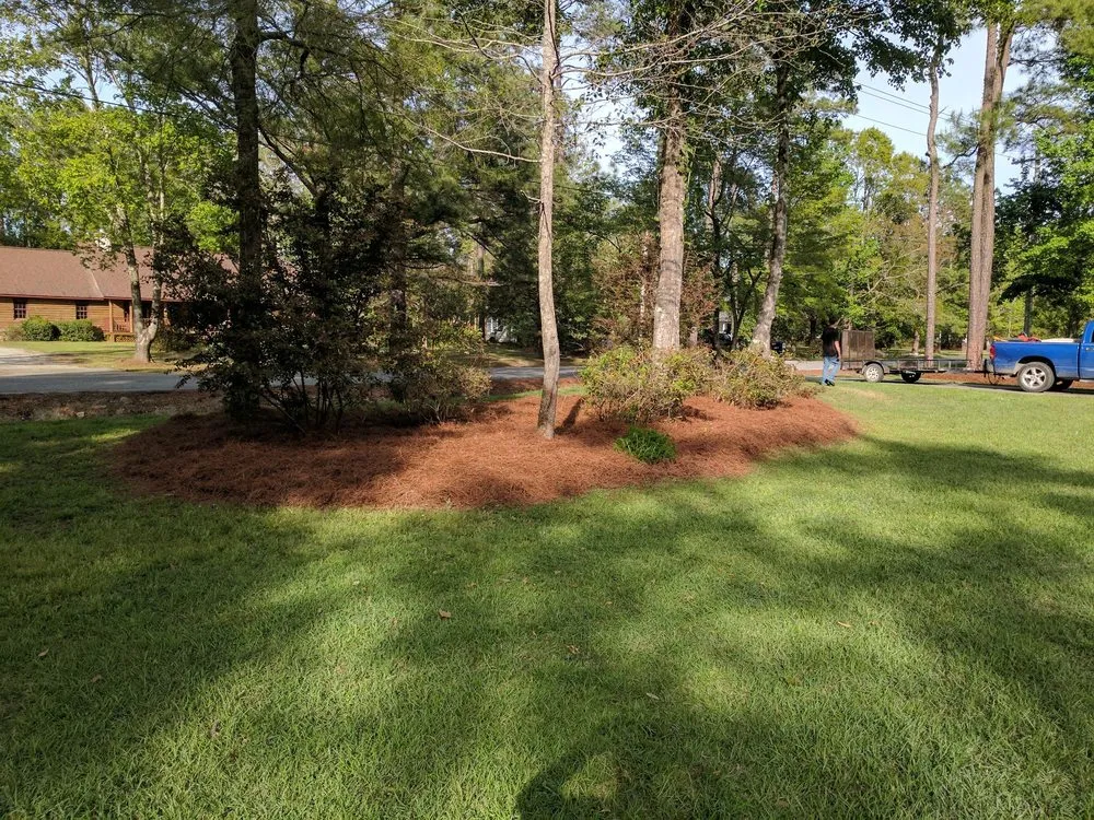 Professional landscaping services near you across Myrtle Beach, SC - Moore Landscaping & Tree Service