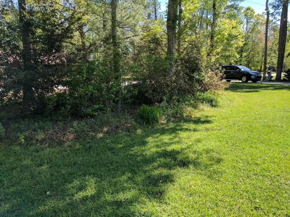 Local landscape installation experts serving Myrtle Beach, SC - Moore Landscaping & Tree Service