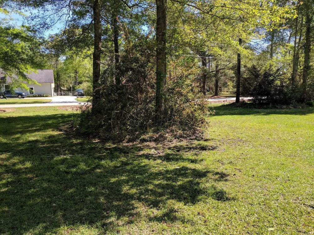 Top-rated landscape design in Myrtle Beach, SC - Moore Landscaping & Tree Service