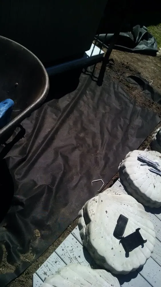 Local landscaping services in Myrtle Beach, SC - Moore Landscaping & Tree Service