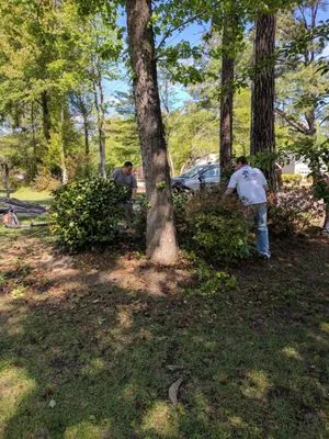 Moore Landscaping & Tree Service Logo