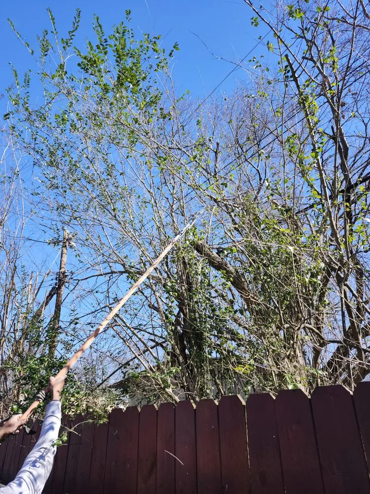 Reliable lawn care service for homes in Memphis, TN by Moore Landscaping And Fencing