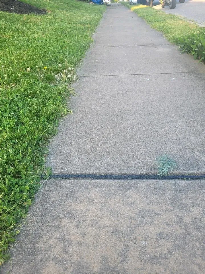 Custom yard cleanup service in Oley, PA by Moore Landscaping