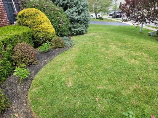 Moore Landscaping Logo