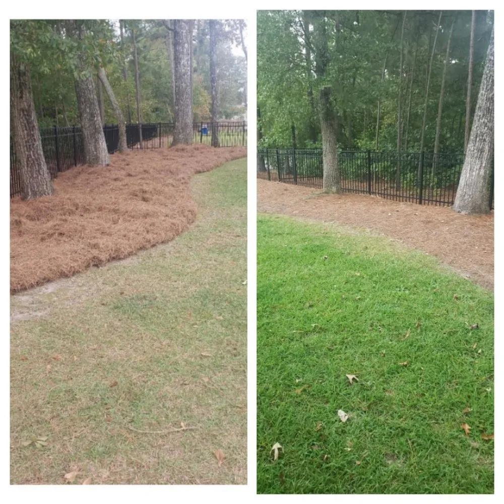 Expert landscape installation for year-round maintenance across Winterville, NC - Moore Lawn Care
