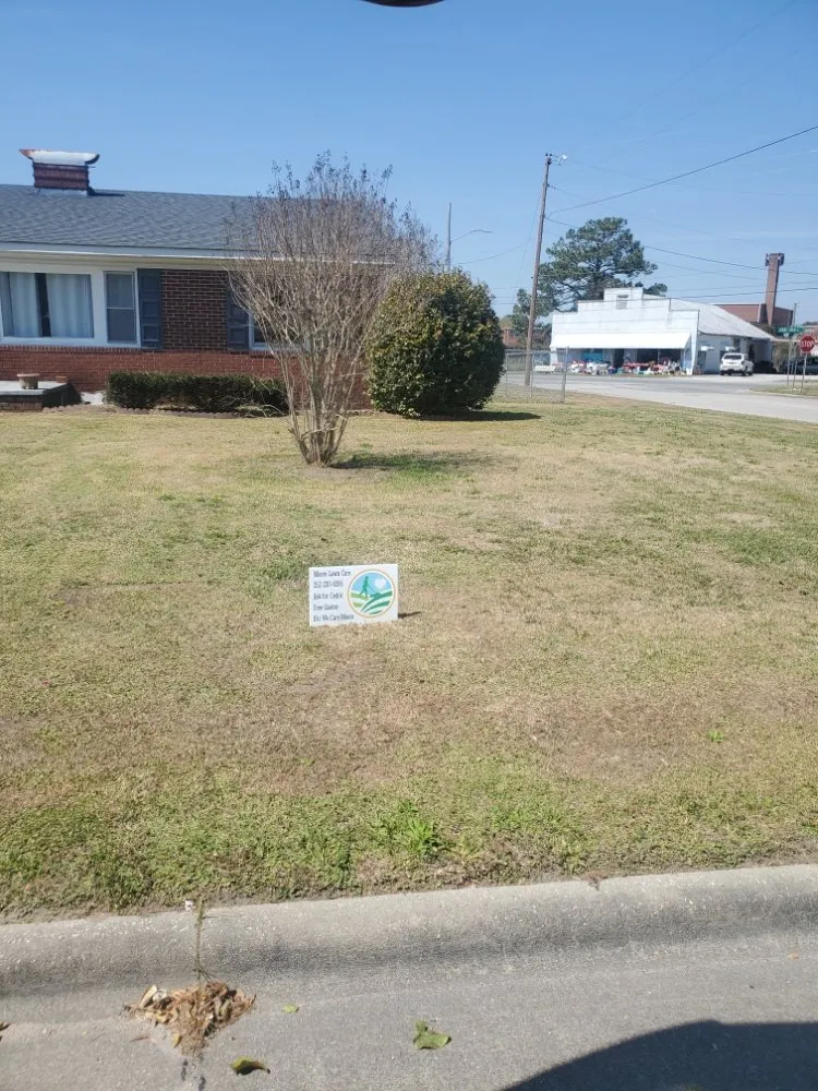 Expert landscape installation experts serving Winterville, NC - Moore Lawn Care
