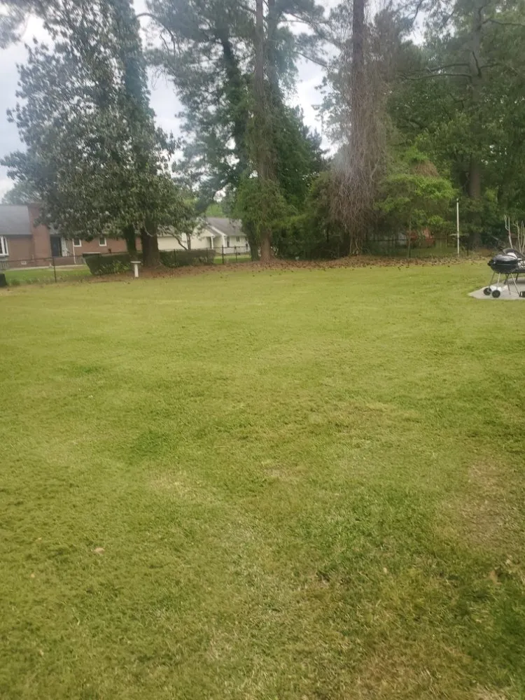 Trusted yard maintenance experts serving Winterville, NC - Moore Lawn Care