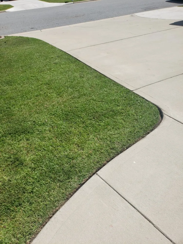 Local yard cleanup service with custom design in Winterville, NC by Moore Lawn Care