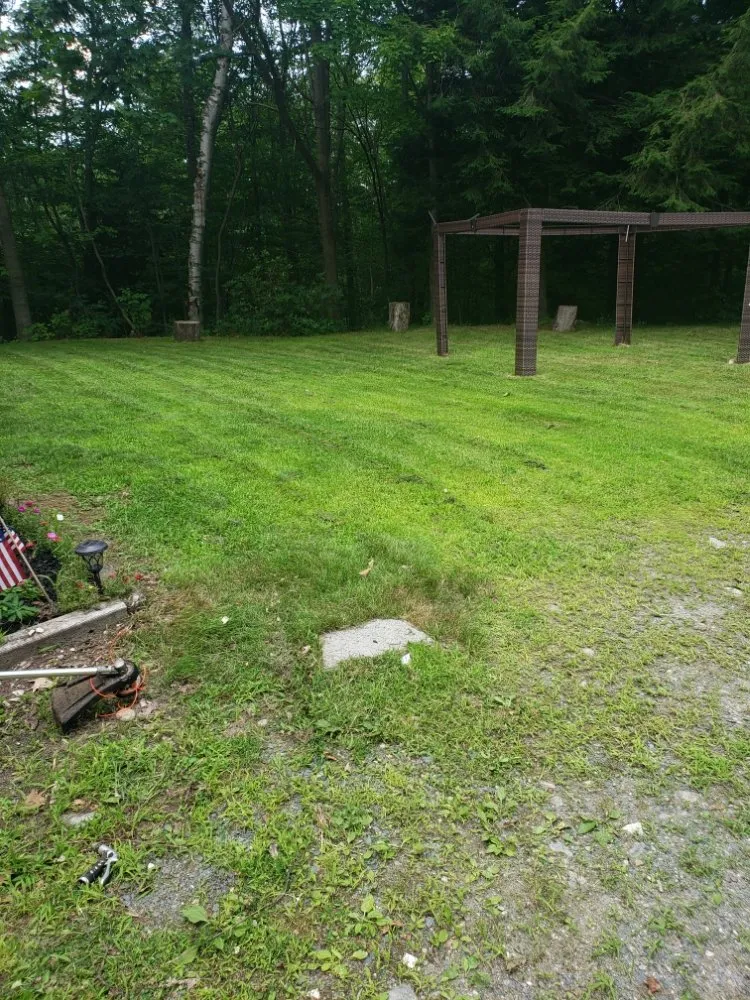 Top-rated lawn care service in Winterville, NC - Moore Lawn Care