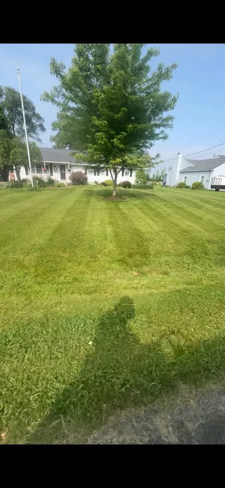 Expert residential landscaping in Hamlin, NY by Moore Outdoor services