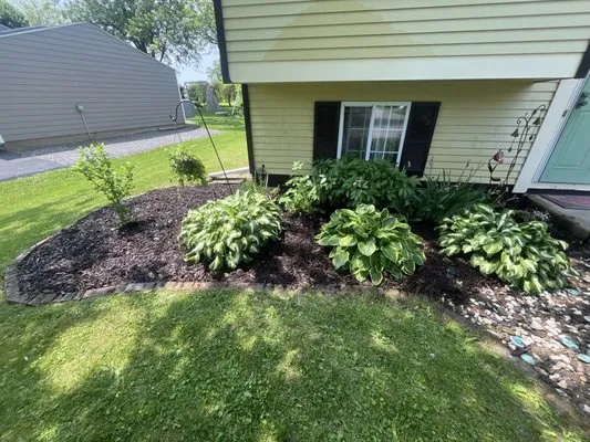 Moore Outdoor services