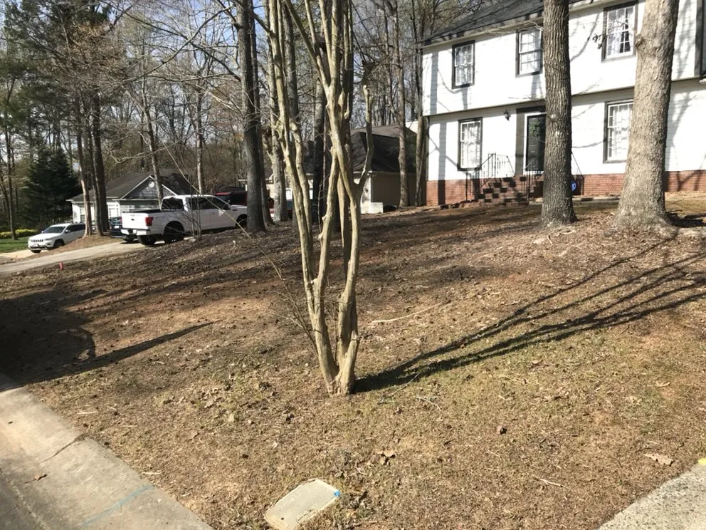 Reliable landscape design in Charlotte, NC by Moore Quality Landscapes