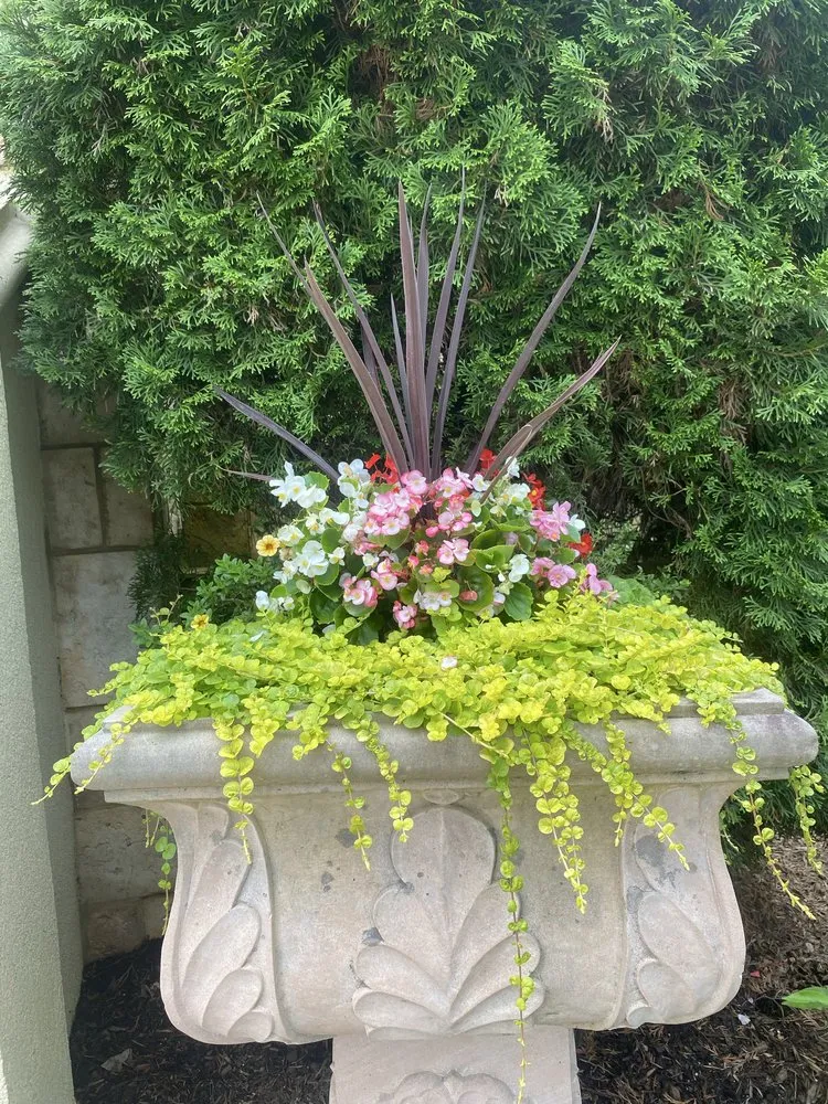 Custom residential landscaping in Charlotte, NC by Moore Quality Landscapes