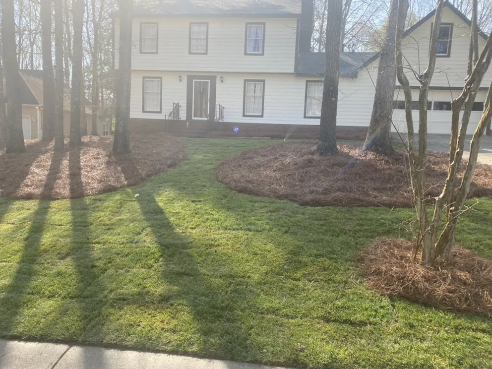 Reliable lawn mowing service for year-round maintenance in Charlotte, NC by Moore Quality Landscapes