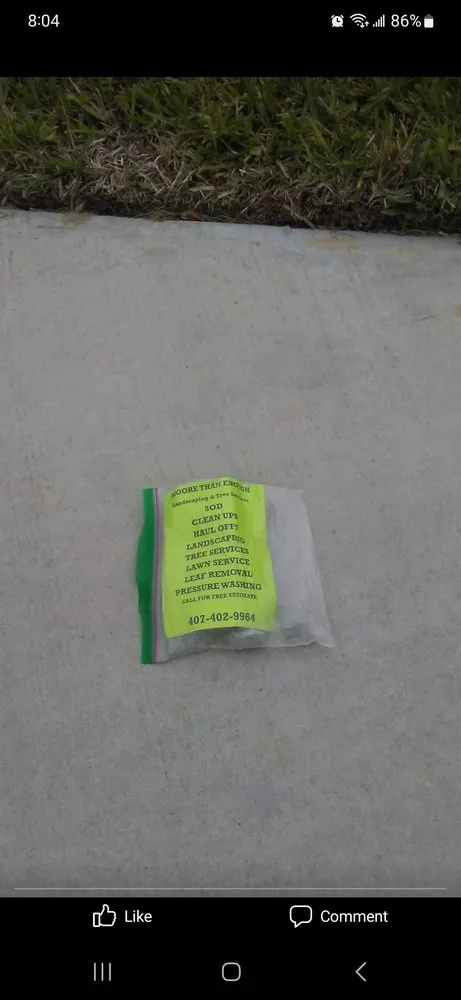 Affordable lawn care service for residential properties across Orlando, FL - Moore Than Enough