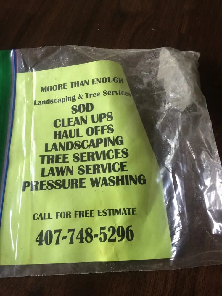 Local outdoor landscaping near you across Orlando, FL - Moore Than Enough