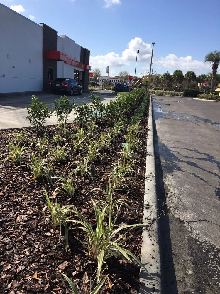 Professional garden landscaping in Orlando, FL by Moore Than Enough