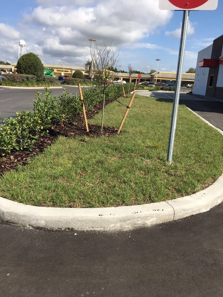 Affordable yard cleanup service for beautiful yards in Orlando, FL by Moore Than Enough