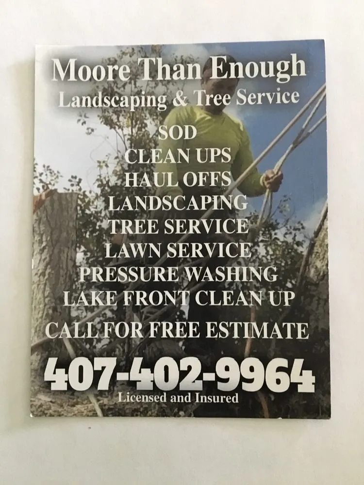 Custom lawn care service in Orlando, FL - Moore Than Enough