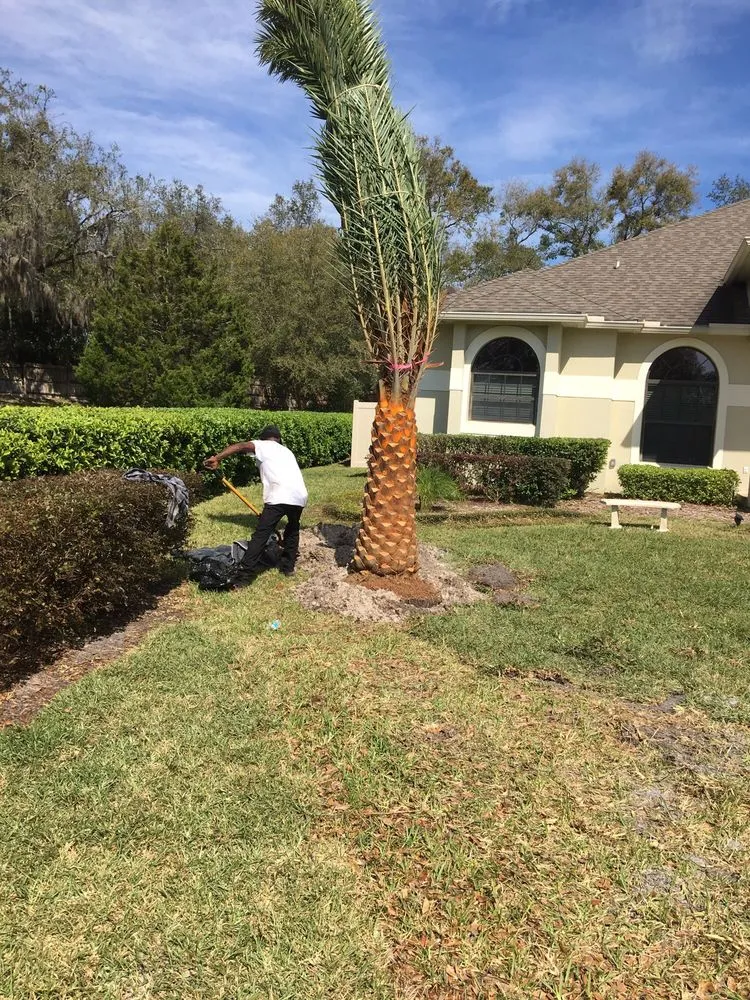 Professional yard maintenance experts serving Orlando, FL - Moore Than Enough