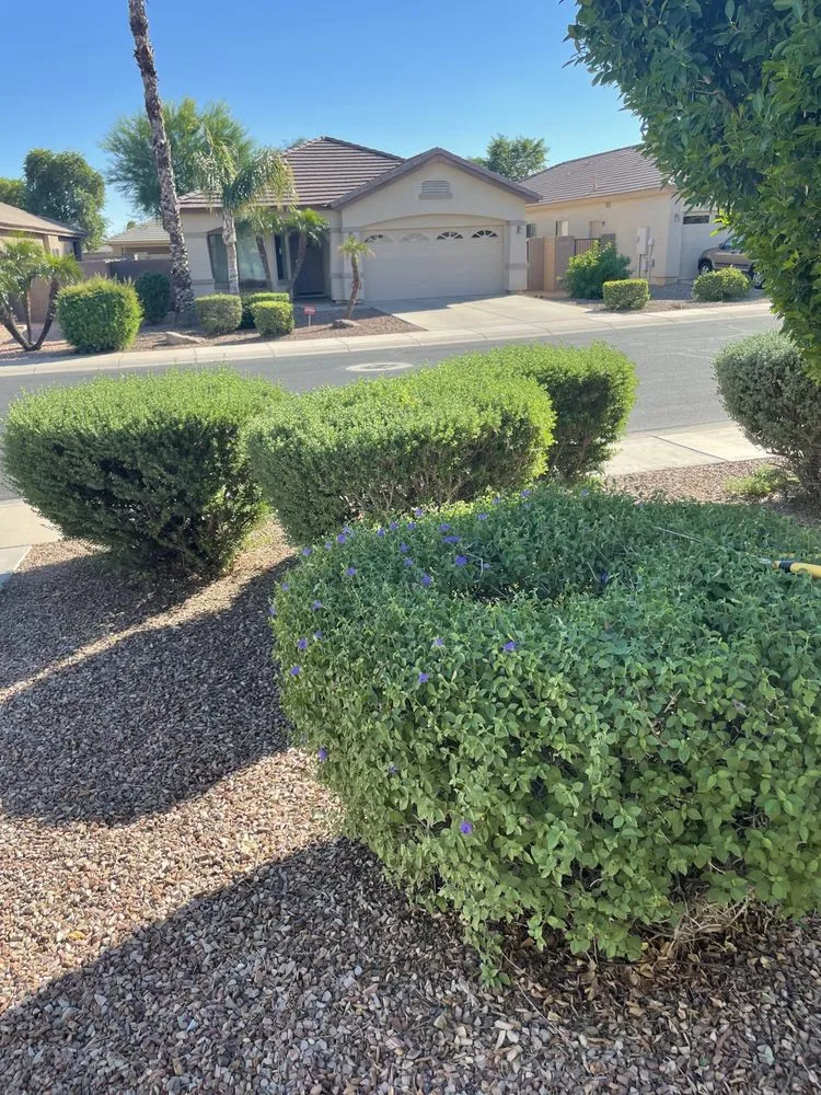 Reliable landscape design for outdoor upgrades across Litchfield Park, AZ - Moore Yard Care