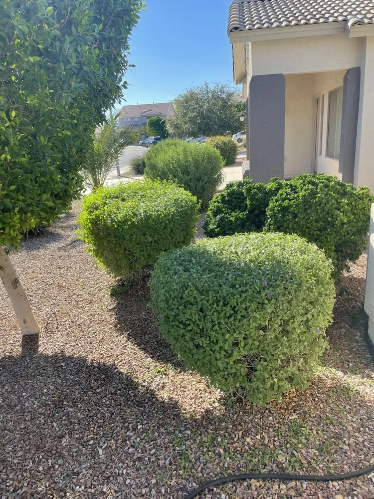 Reliable residential landscaping in Litchfield Park, AZ - Moore Yard Care