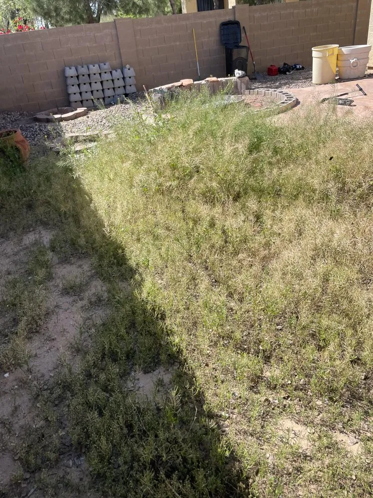 Local lawn mowing service in Litchfield Park, AZ by Moore Yard Care