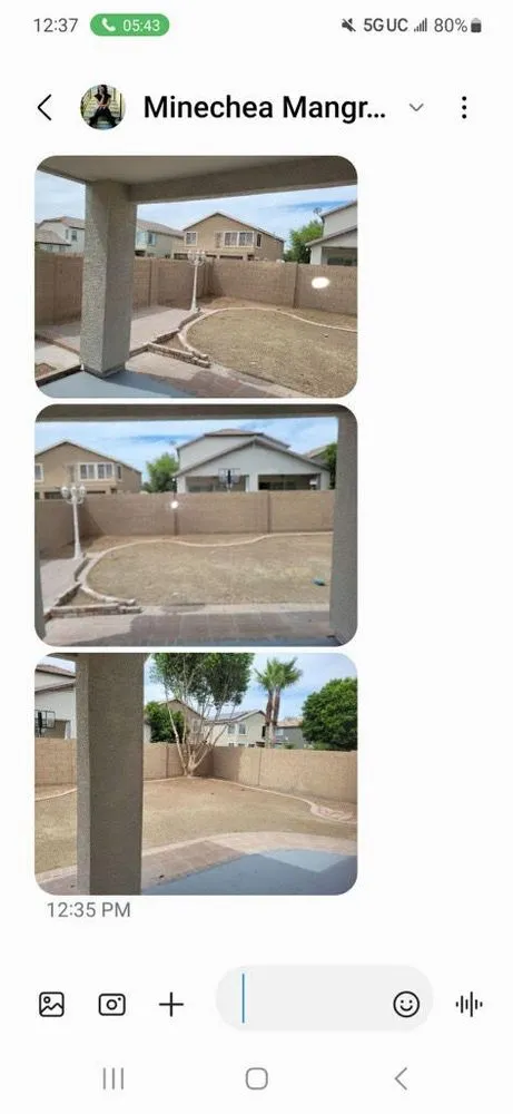 Expert yard cleanup service in Litchfield Park, AZ - Moore Yard Care