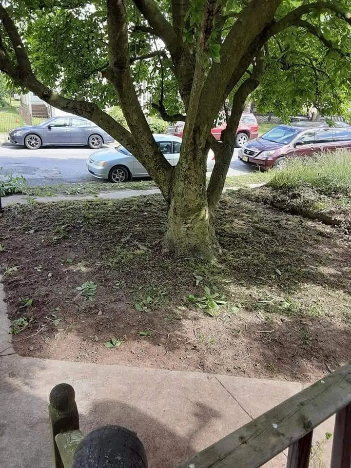 Custom lawn care service for residential properties in Salem, NJ by Moore's Do It All