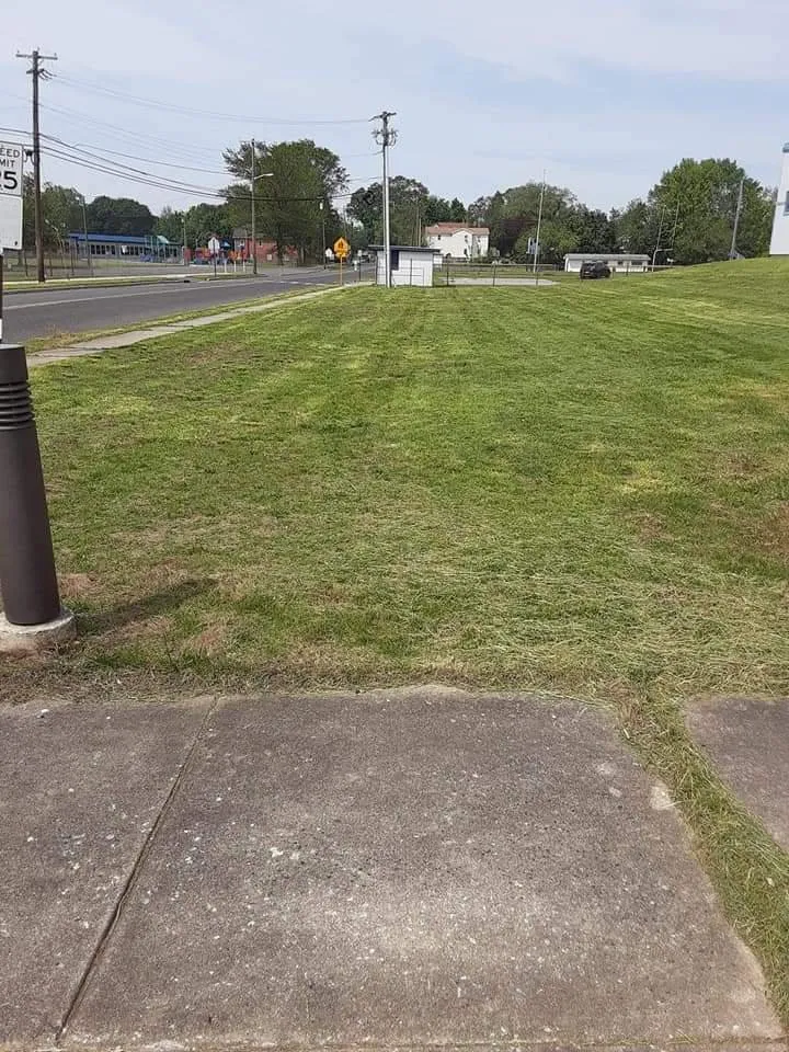 Local yard cleanup service experts serving Salem, NJ - Moore's Do It All