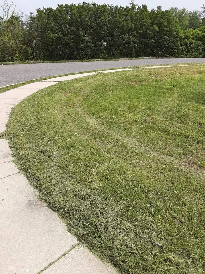 Top-rated landscape installation for beautiful yards across Salem, NJ - Moore's Do It All