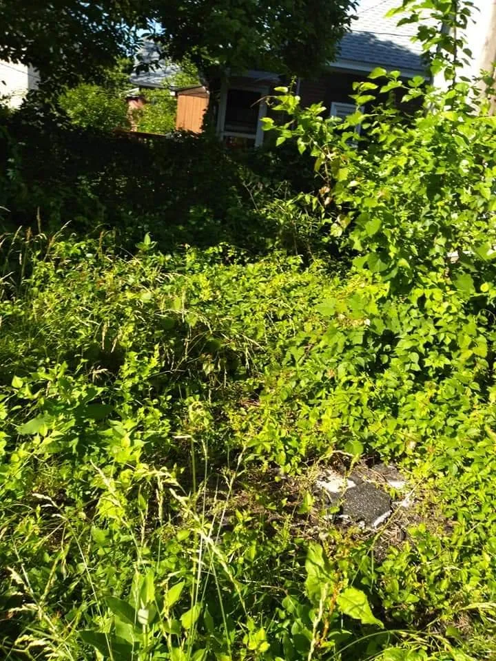 Reliable lawn mowing service for beautiful yards across Salem, NJ - Moore's Do It All