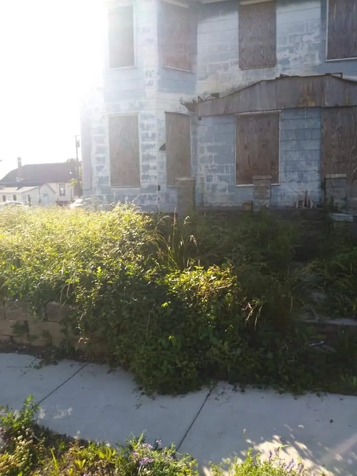 Expert landscaping services experts serving Salem, NJ - Moore's Do It All