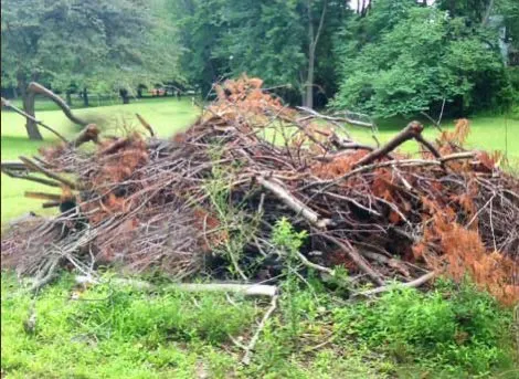 Affordable lawn care service for beautiful yards across Sugarloaf, PA - Moore’s Express Lawn Care