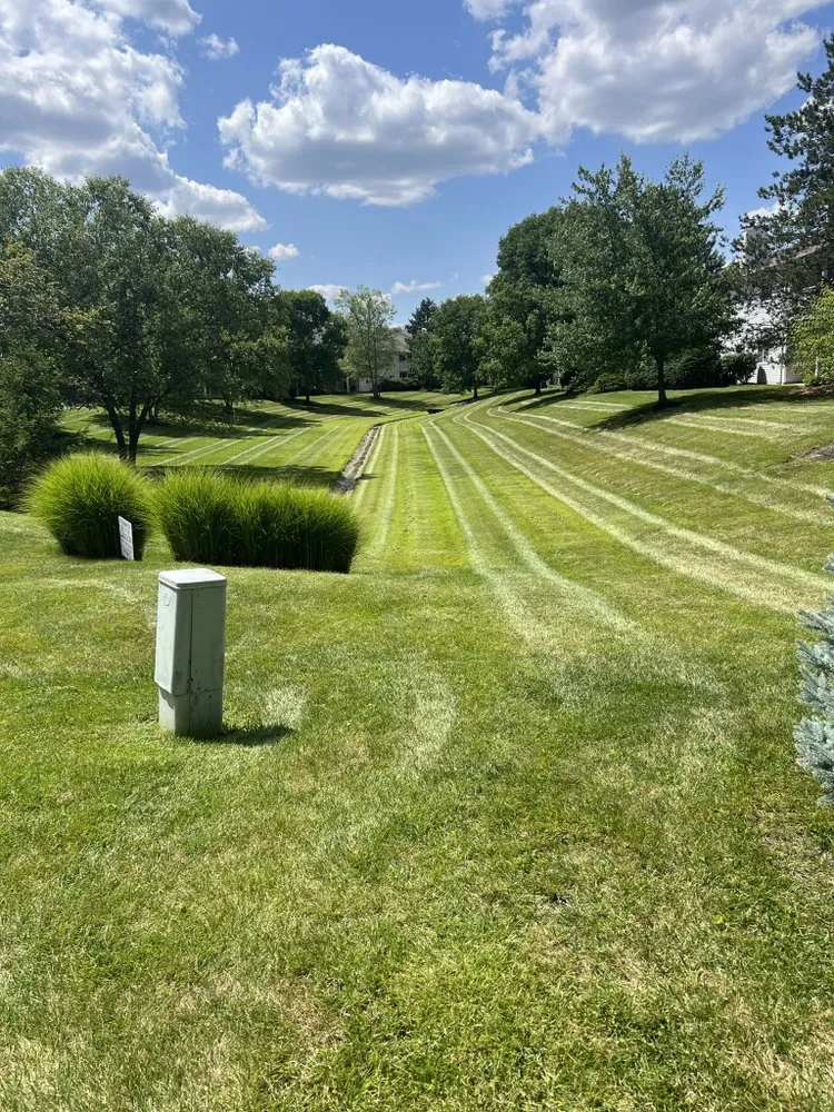 Top-rated residential landscaping in Amelia, OH - Moore's Landscaping