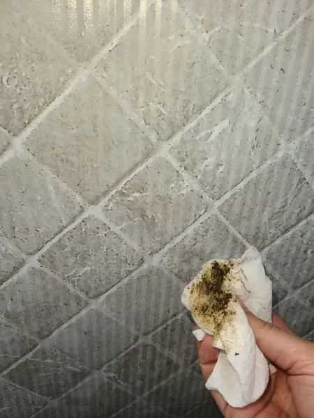 Local yard cleanup service for year-round maintenance in Minooka, IL by Moore's Landscaping and Powerwashing