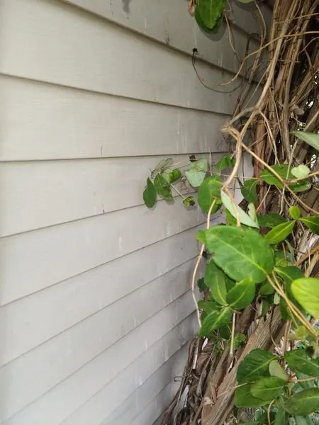 Top-rated landscaping services for residential properties across Minooka, IL - Moore's Landscaping and Powerwashing