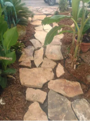 Top-rated yard maintenance for year-round maintenance across Augusta, GA - Moore's landscaping and Pressure Washing