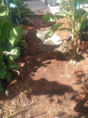 Local lawn mowing service in Augusta, GA by Moore's landscaping and Pressure Washing