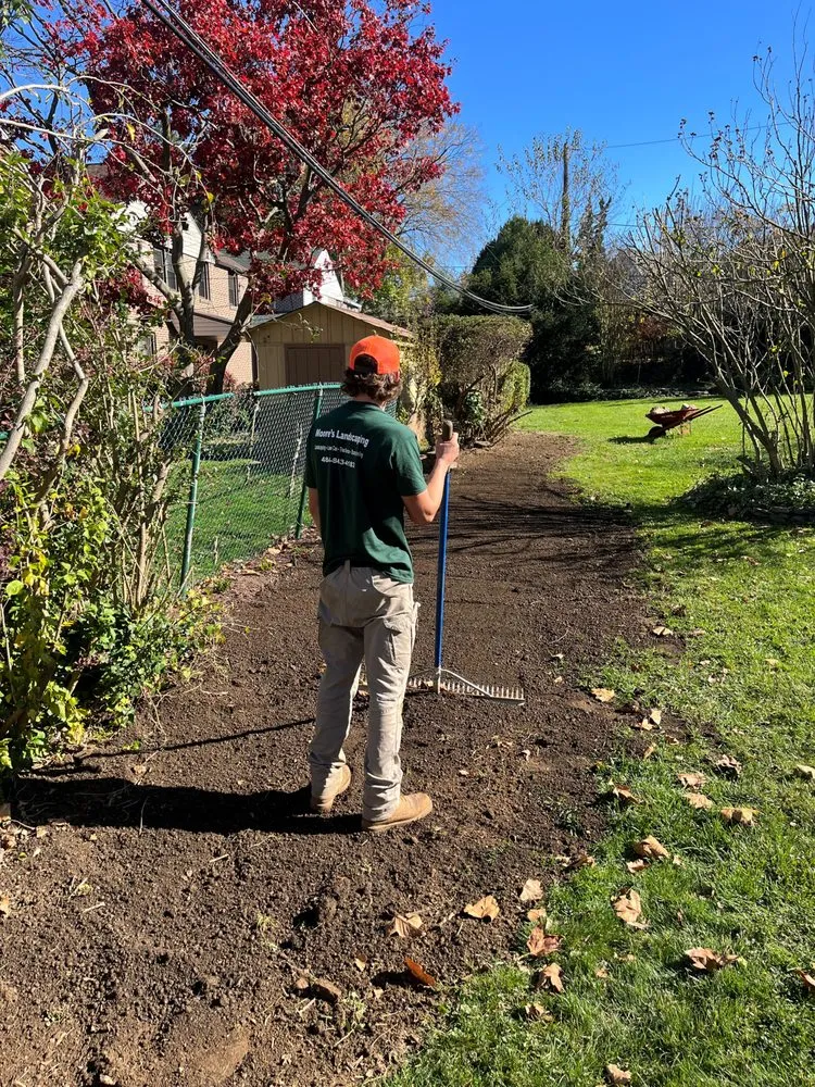 Trusted yard maintenance for residential properties in Havertown, PA by Moore's Landscaping and Tree Service
